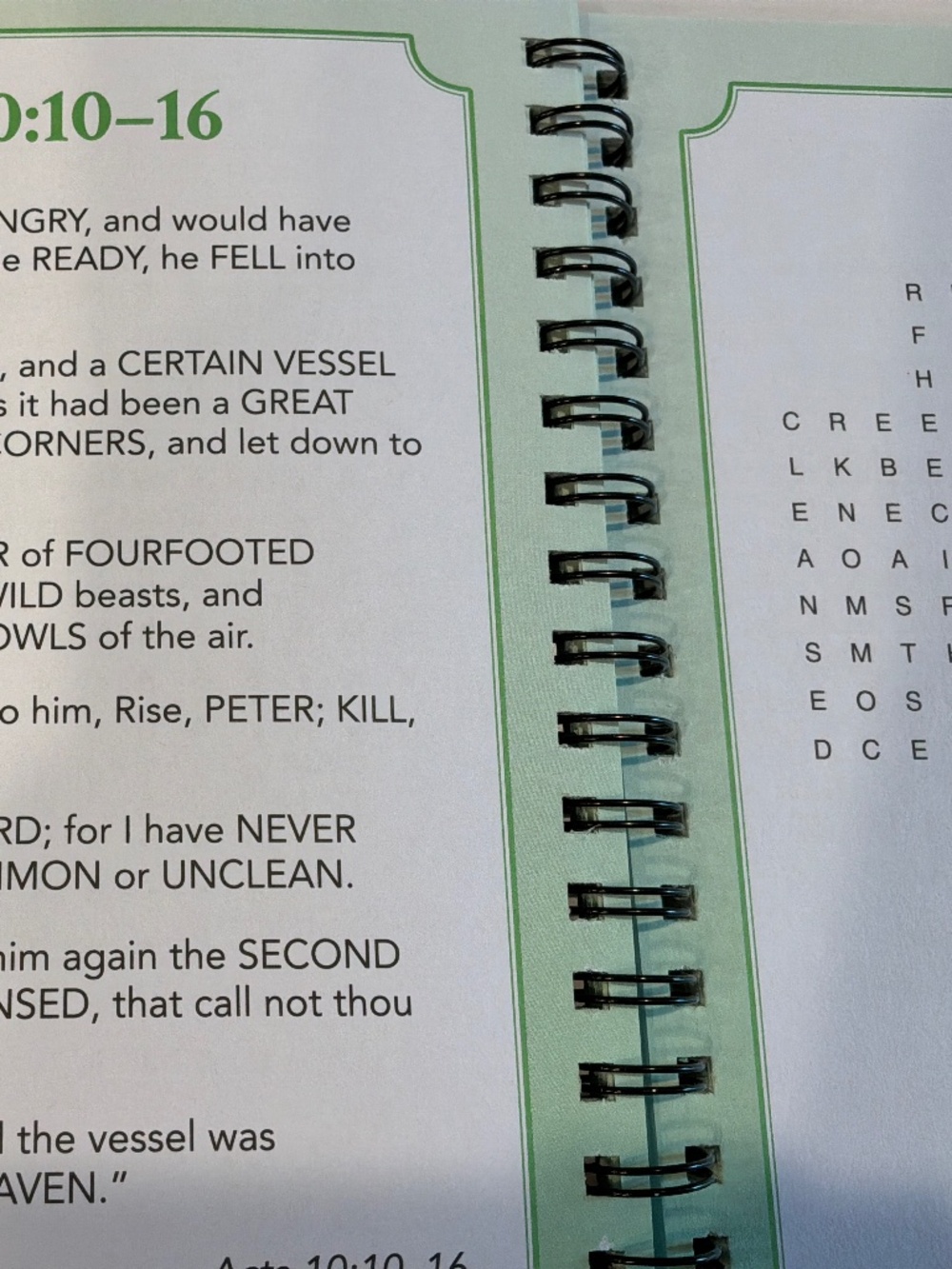 BIBLE WORD SEARCH  Large Print and Pen - Picture 3 of 4